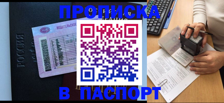 пропишу в квартире в Вязьме